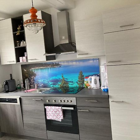 Apartment Valerie - Villa Muehlei Alterbachstr 9 Anif Εξωτερικό φωτογραφία